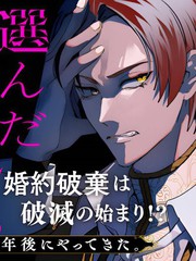 比起政治联姻我选择爱情~十年后我后悔了