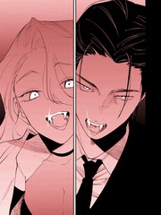 吸血鬼x吸血鬼