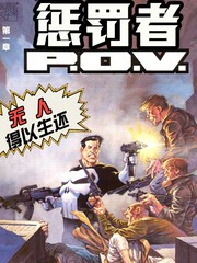 惩罚者：P.O.V.漫画